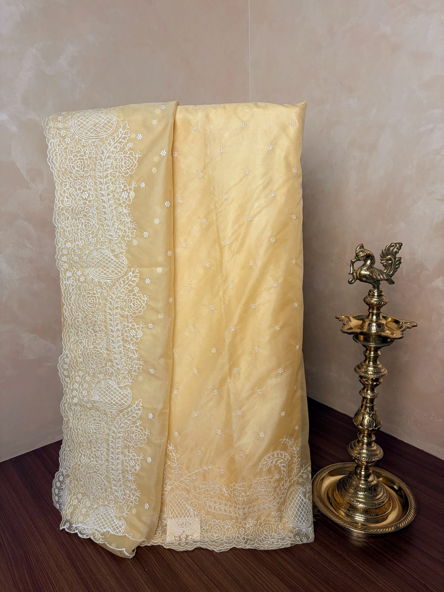 Organza Kurthi Set
